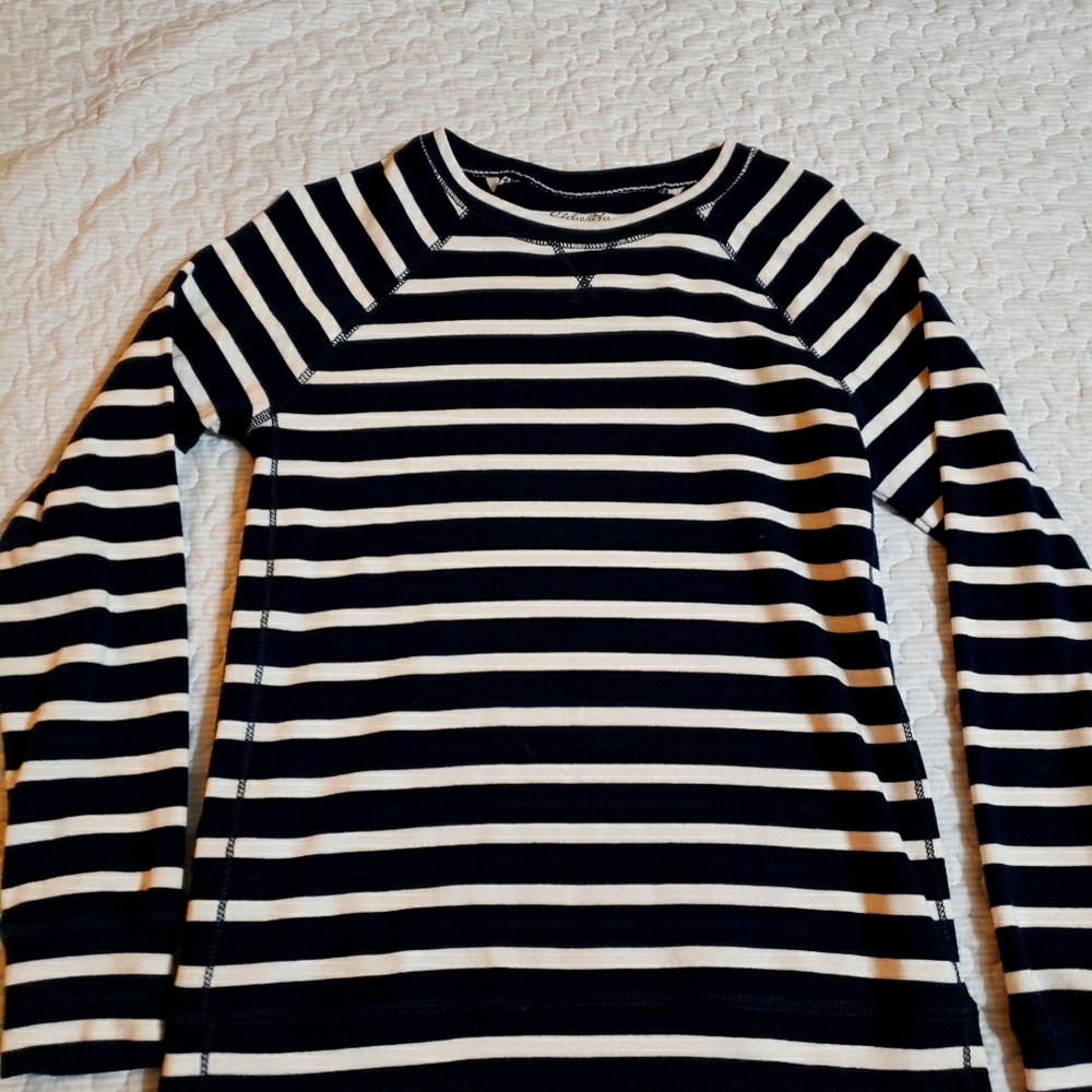 Eddie Bauer Striped crew Neck Sweater